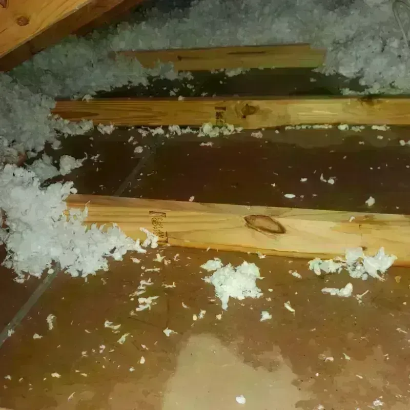 Attic Water Damage in Sherman, CT